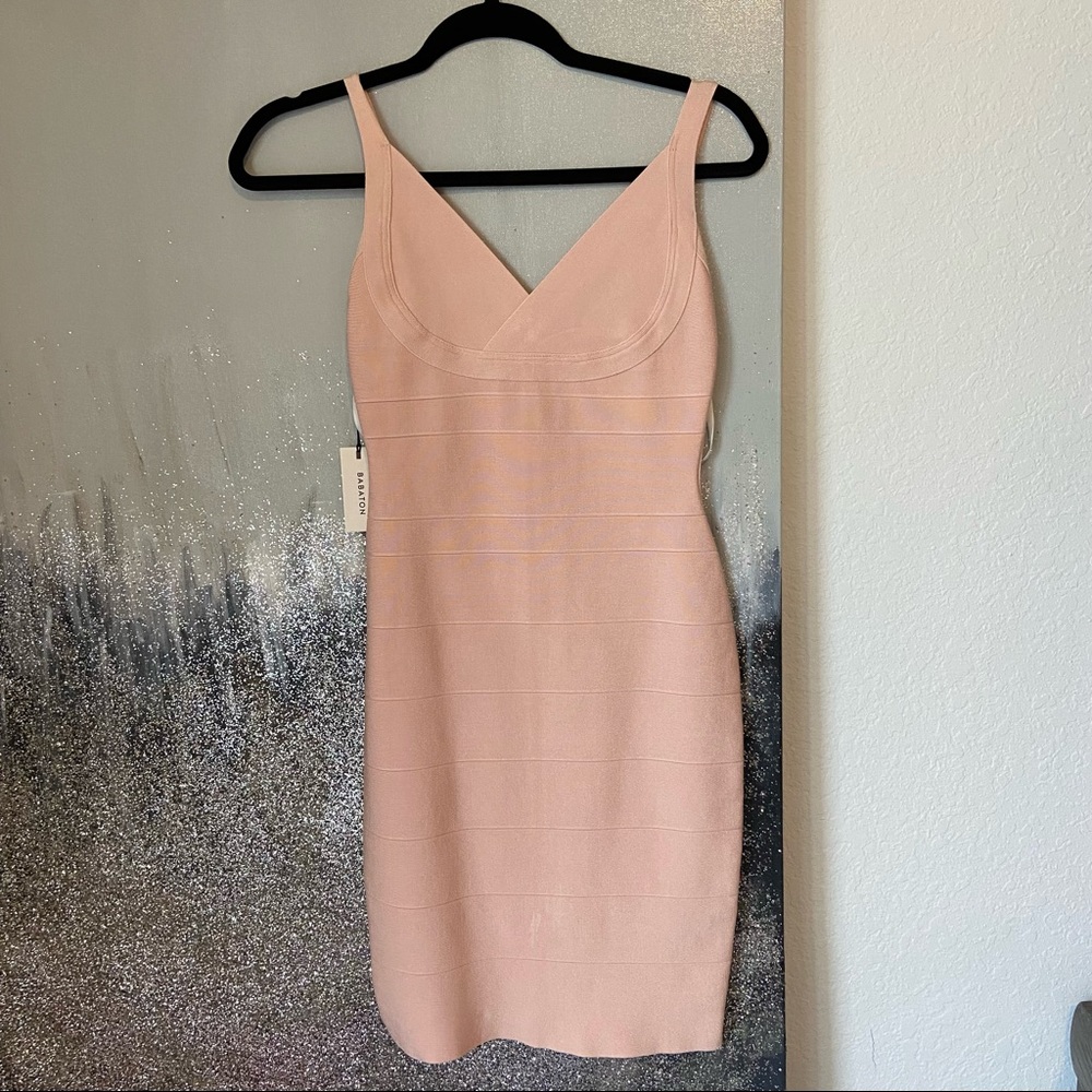Babaton dress in pale pink